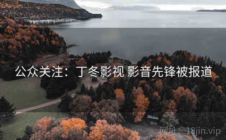 公众关注：丁冬影视 影音先锋被报道